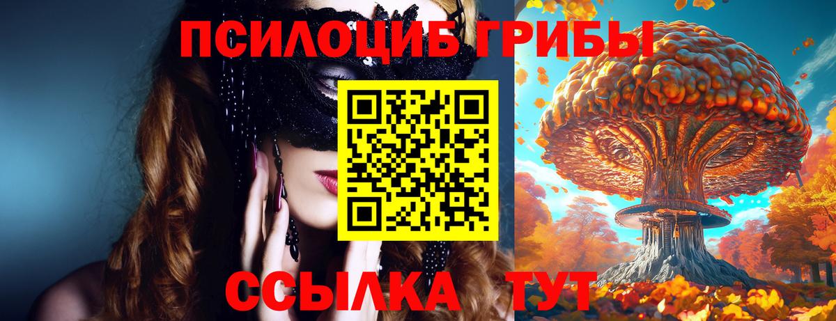 Галлюциногенные грибы Psilocybe Сухой Лог
