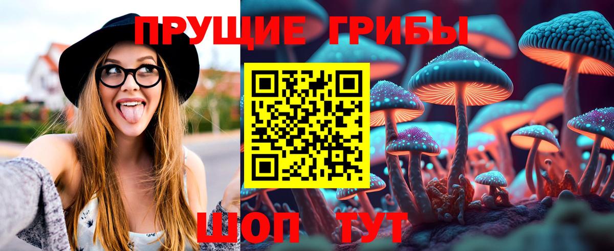 Сухой Лог  Псилоцибиновые грибы Magic Shrooms  Вход с VPN 